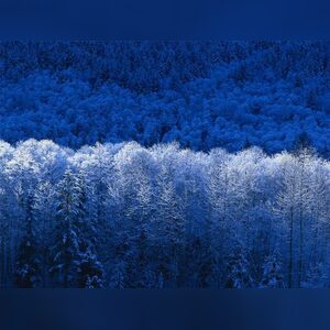 imperialkid999, online dating profile photo