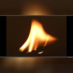 willy31ade, online dating profile photo