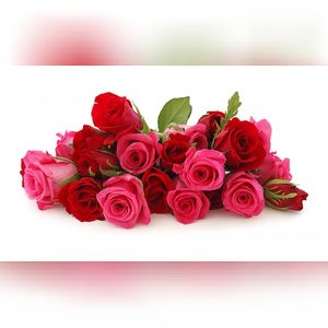 lexm, online dating profile photo