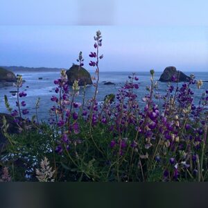 millzposh, online dating profile photo