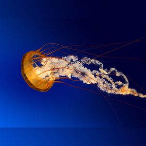 febuary, online dating profile photo