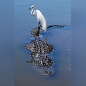 uyimark, online dating profile photo