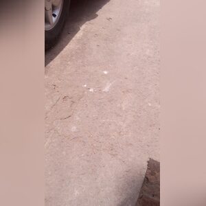 neyomania, online dating profile photo