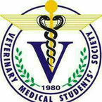 icykidy, online dating photo