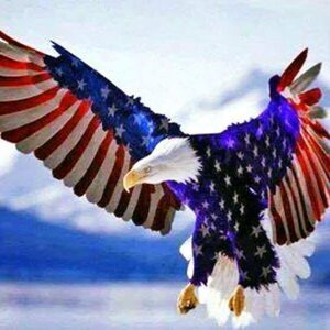 olaitansmart, online dating profile photo