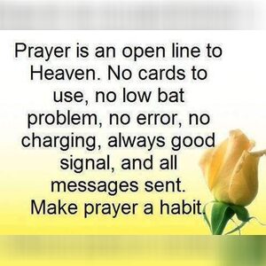 roderick195, online dating profile photo