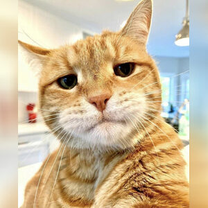 yummyumm, online dating profile photo