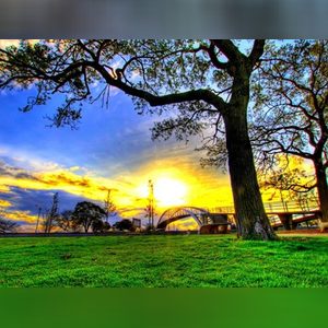 abdulmummin, online dating profile photo