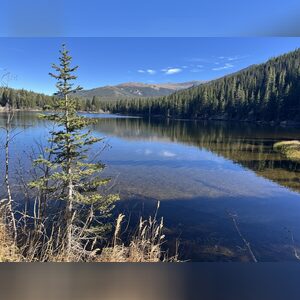 simple_lyf, online dating profile photo