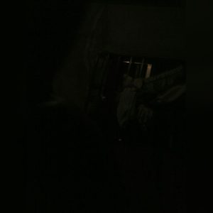 beingolives, online dating profile photo