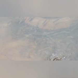 zorally, online dating profile photo