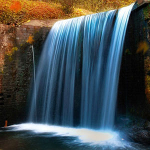 stancoly, online dating profile photo