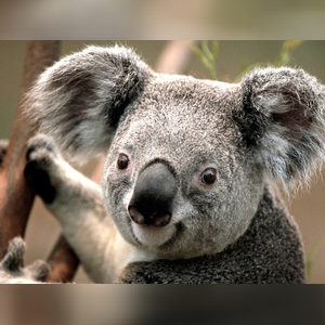 shegzzy001, online dating profile photo