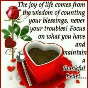 obienees, online dating profile photo