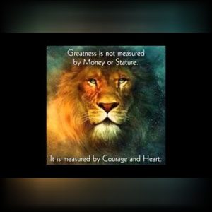 igweis6, online dating profile photo