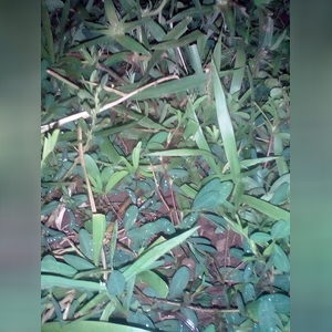 ttunde, online dating profile photo