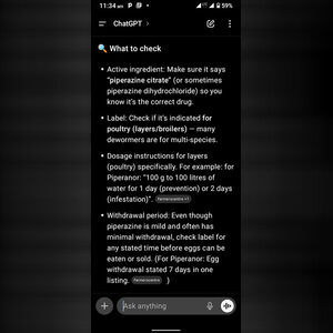 andre1981, online dating profile photo