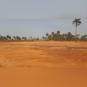 davidj, online dating profile photo