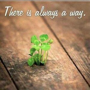 cchukwue, online dating profile photo