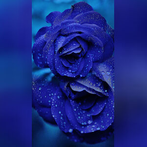 demmy1, online dating profile photo