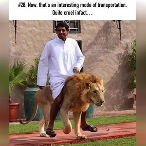 seyimail, online dating profile photo