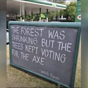 adeabayoo, online dating profile photo