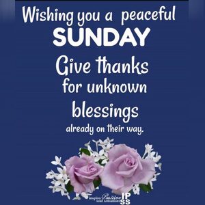 zuzzy, online dating profile photo