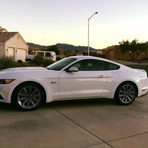 walteril, online dating profile photo