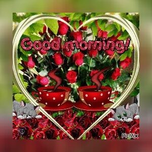 akerolal, online dating profile photo