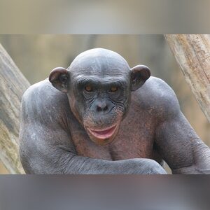 kitson_1, online dating profile photo