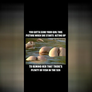 vego, online dating profile photo