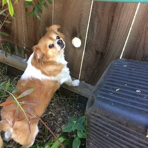 micahnwa, online dating profile photo