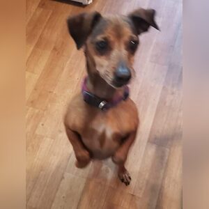 iafolabi, online dating profile photo