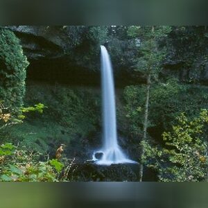 enyibenj, online dating profile photo