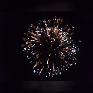 festusst, online dating profile photo