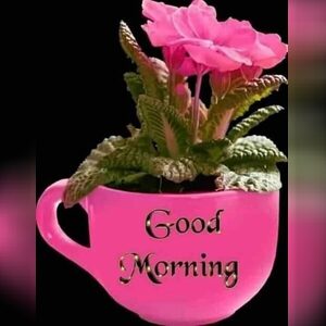 udo12, online dating profile photo