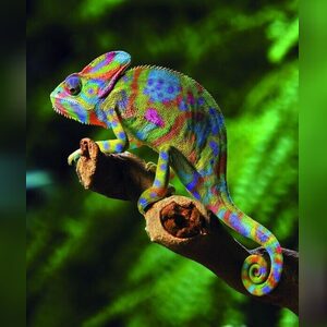 charley4, online dating profile photo