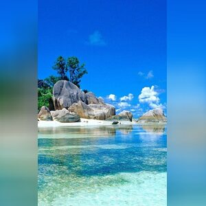 brice, online dating profile photo