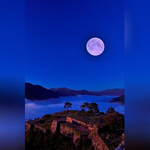 emmaagus, online dating profile photo