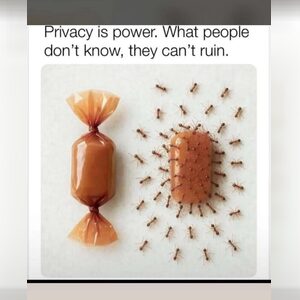 usa, online dating profile photo