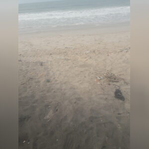 rhemaade, online dating profile photo