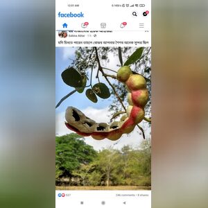 blackwor, online dating profile photo