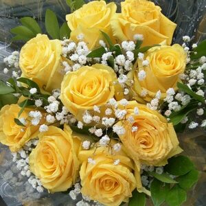 dj860494, online dating profile photo