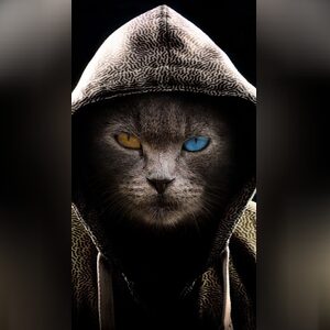bindsber, online dating profile photo