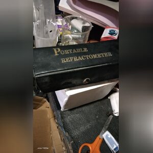 remmyliz, online dating profile photo