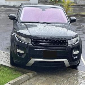 daviprai, online dating profile photo