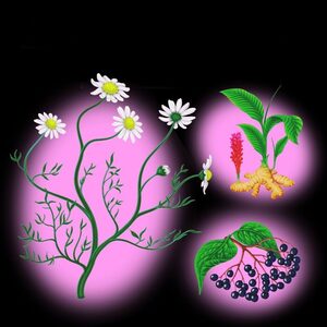 suadearc, online dating profile photo