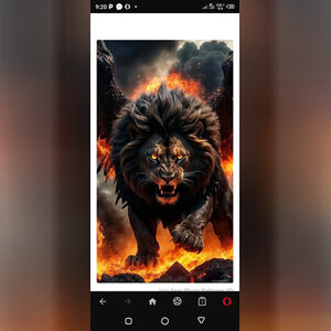 asufibel, online dating profile photo