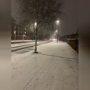 malolo, online dating profile photo