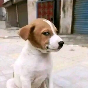 ofavou7-, online dating profile photo